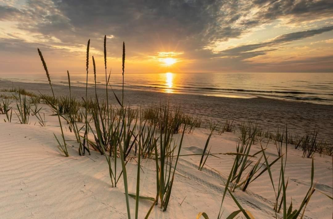 Carpe Diem Pokoje Goscinne Łeba Exteriör bild